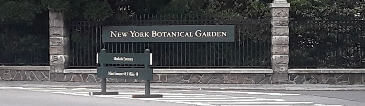 NYBG 001 - CROPPED 002